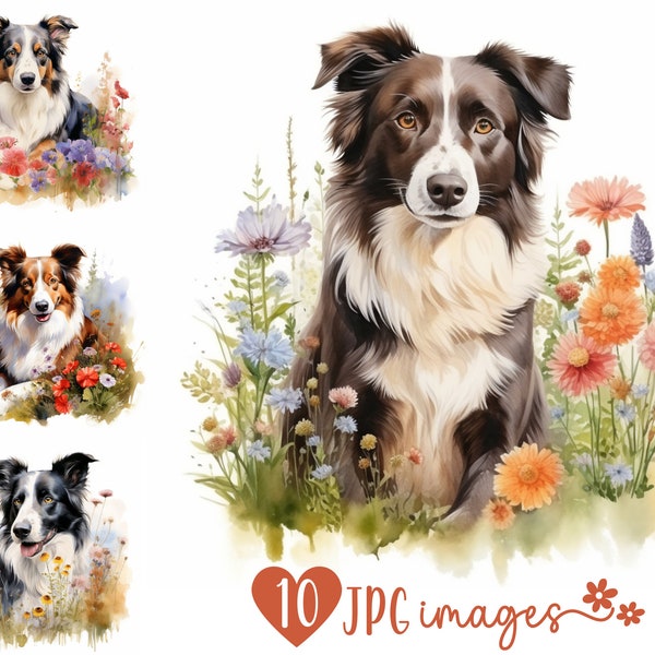 Border Collie Clipart Bundle, Watercolor JPG prints, Dog digital download designs, Digital Crafting, Scrapbooking images, Junk journal