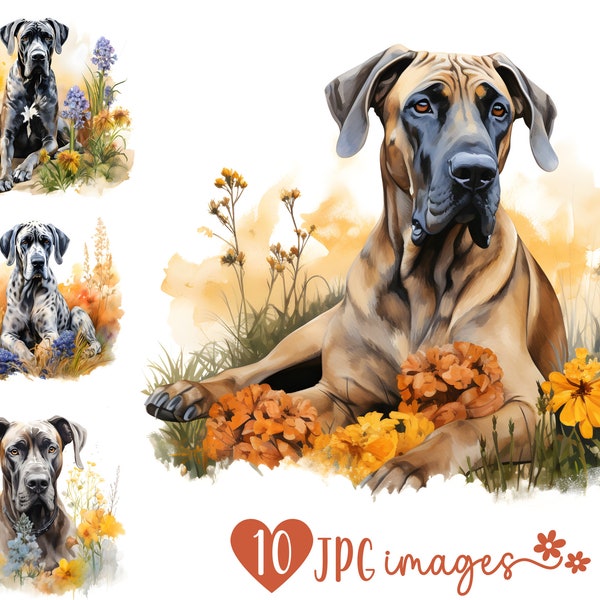 Great Dane Clipart Bundle, Watercolor Great Dane JPG images, Dog with Flower Image, Dog Breed Digital Design, Great Dane Sublimation File