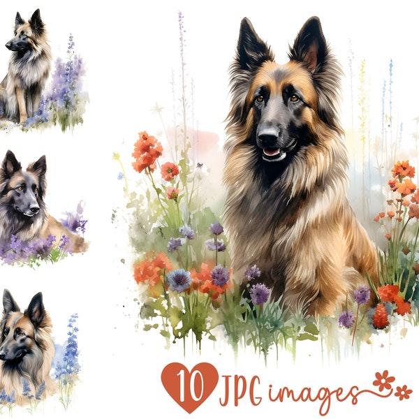 Belgian Tervuren Clipart Bundle, Watercolor Belgian Sheepdog JPG images, Dog with Flowers Image, Dog Breed Digital Designs, Sublimation File