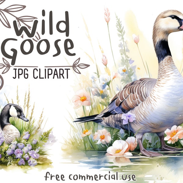 Aquarell Wildgans Clipart Bundle | 10x Hochwertige JPG | Digitaler Planer, Junk Journal, Bekleidung, digitaler Download, kommerzielle Nutzung