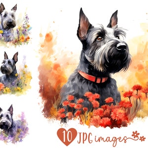 Watercolor Scottish Terrier Clipart Bundle | 10 High Quality JPG | Digital Planner, Junk journal, Apparel Digital Download | Commercial Use