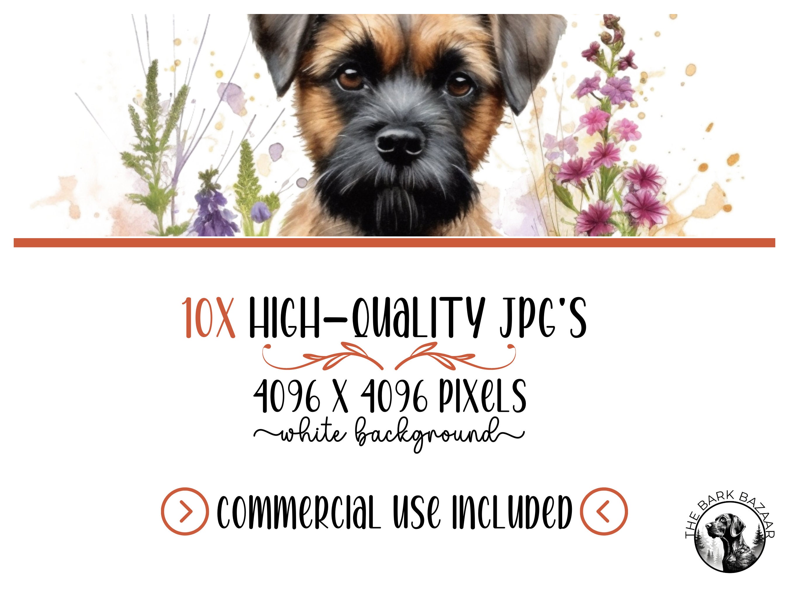 Border Terrier Clipart Bundle Watercolor Dog Breed Clipart Etsy