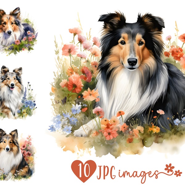 Aquarell Sheltie Clipart Bundle, Hunderasse Clipart JPG, Shetland Sheepdog Sublimation Designs, Hund mit Blumen, Hunderasse digitale Bilder