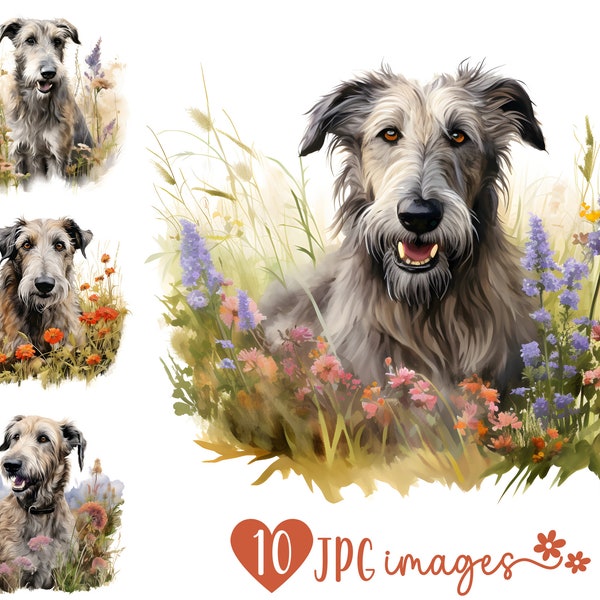 Irish Wolfhound Clipart Bundle, Watercolor Wolfhound JPG images, Dog with Flowers Images, Dog Breed Digital Design, Sublimation Files