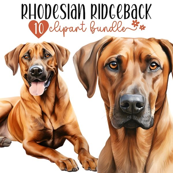 Rhodesian Ridgeback Clipart Bundle, Watercolor Ridgeback PNG Images for Sublimation Crafting, Dog Breed Digital Graphics, Commercial Use