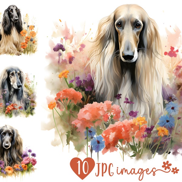 Afghan Hound Clipart Bundle, Watercolor Sighthound prints, Dog digital download designs, Digital Crafting, Scrapbooking images, Junk journal