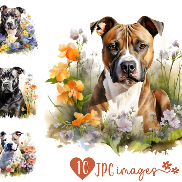 American Stafford Clipart Bundle, Watercolor Stafford JPG images, Dogs with Flowers Images, Dog Breed Digital Design, Sublimation Files