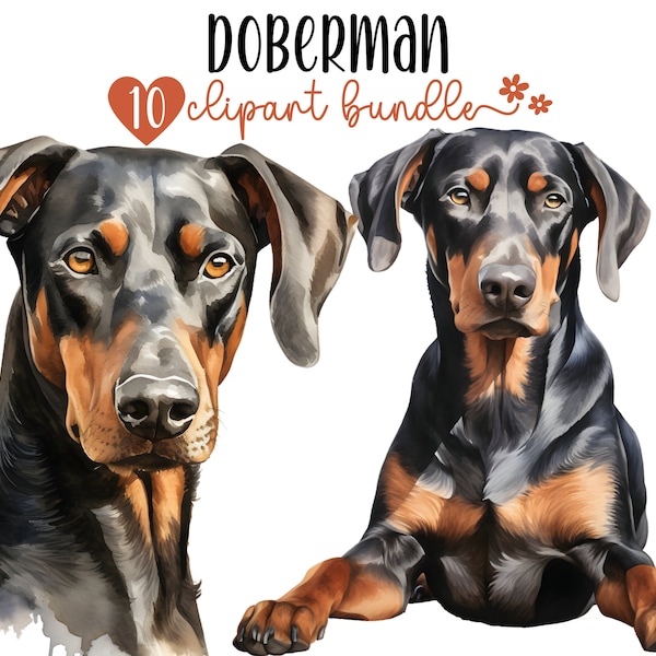 Doberman Clipart Bundle, Watercolor Doberman PNG Images for Sublimation Crafting Digital Planner, Junk journal, Digital Download