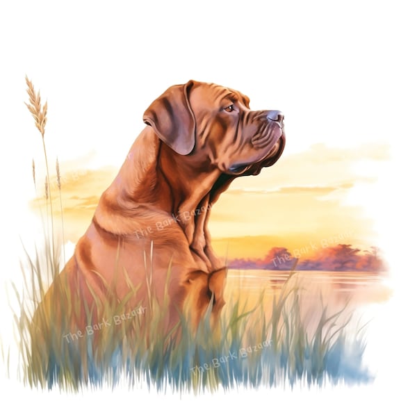 Aquarelle coucher de soleil Dogue de Bordeaux Pembroke Clipart | JPG de haute qualité | Fabrication de cartes, planificateur numérique, journal indésirable, art mural | Numérique