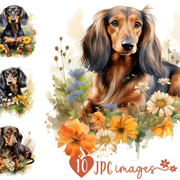 Watercolor Dachshund Clipart | 10 High-Quality JPG Files 300 dpi | Scrapbooking, Cards, Prints, Digital Planner, Wall Art | Commercial Use