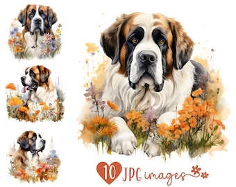 Sint Bernard clipart bundel, aquarel Sint Bernard JPG-afbeeldingen, hond met bloemen afbeelding, hondenras digitaal ontwerp, hond sublimatiebestanden