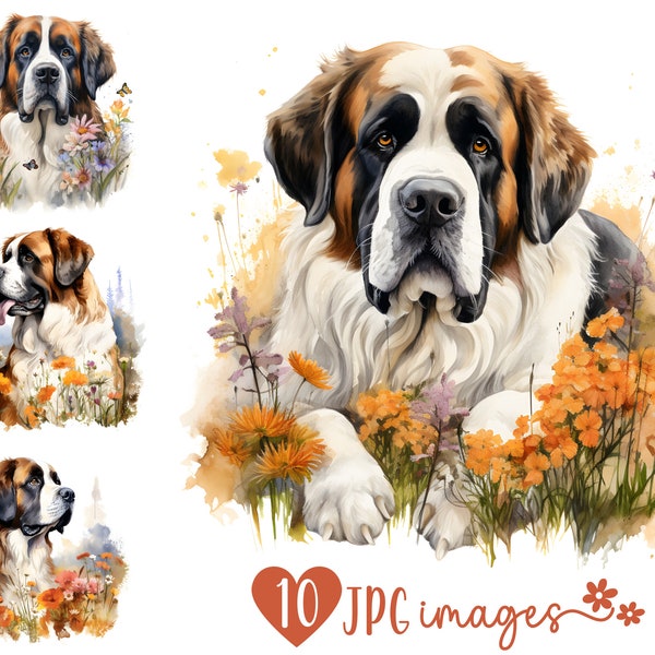 Saint Bernard Clipart Bundle, Watercolor Saint Bernard JPG images, Dog with Flowers Image, Dog Breed Digital Design, Dog Sublimation Files