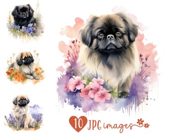 Pekinees clipart bundel, aquarel pekinees JPG-afbeeldingen, hond met bloemen illustraties, hond sublimatiebestanden voor POD, hond graphics