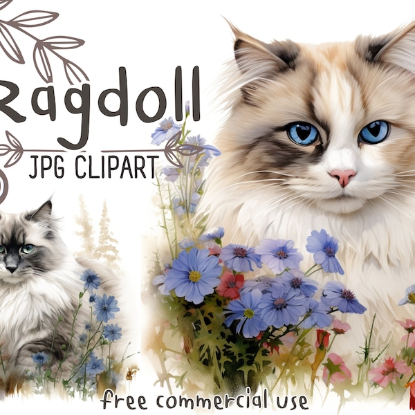 Watercolor Ragdoll Clipart | 10 High-Quality JPG Files 300 dpi | Scrapbooking, Cards, Prints, Digital Planner, Wall Art | Commercial Use