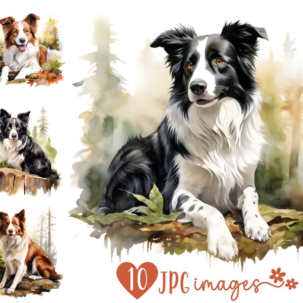 Watercolor Border Collie Clipart Bundle | 10 High-Quality JPG Files 300 dpi| Scrapbooking, Cards, Prints, Digital Planner| Commercial Use