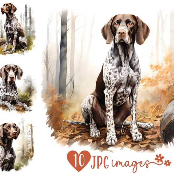 Duitse Kortharige Pointer Clipart Pack in JPG, Hond in de natuur, Hond Herfst Seizoen Clipart, GSP Jachthond Clipart, Scrapbooking Afbeeldingsbestanden