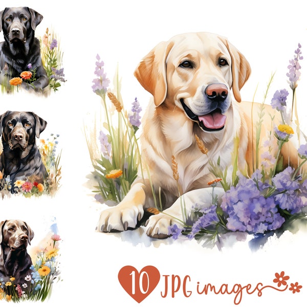 Labrador Retriever Clipart Bundle, Watercolor Dog Breed Clipart JPG, Sublimation designs, Dog with Flowers Prints, Dog Breed Digital Images