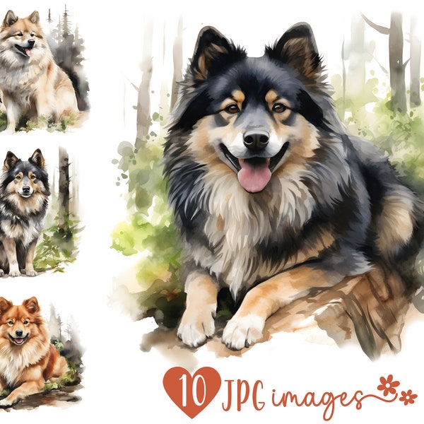 Finnish Lapphund Clipart Bundle, Watercolor Finnish Lapphund JPG images, Dog Fall Clipart, Dog Breed Digital Design Sublimation Files