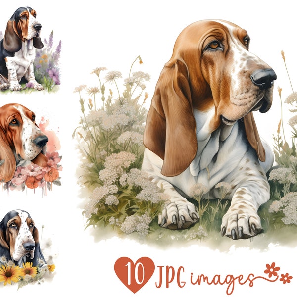 Basset Hound Clipart Bundle, Watercolor JPG prints, Dog digital download designs, Digital Crafting, Scrapbooking images, Junk journal