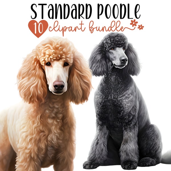 Standard Poodle Clipart Bundle | 10 High-Quality PNG Files | Poodle Digital Planner, Junk journal, Digital Download | Commercial Use
