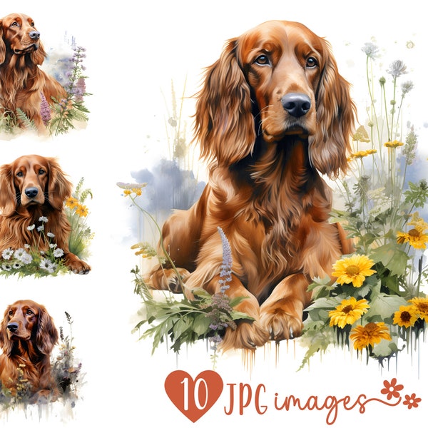 Irish Setter Clipart Bundle, Watercolor Irish Setter JPG images ,Dog with Flowers Image, Dog Breed Digital Design, Setter Sublimation File