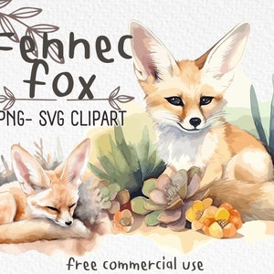 Meindl desert cheap fox australia