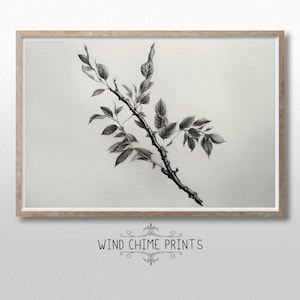 Botanischer Kunstdruck / Schwarzweiss Skizze / Botanische Kunst / Vintage Kunst / Druckbare Kunst / #0001