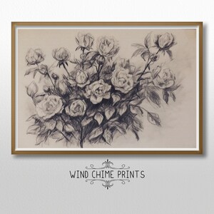 Vintage Flower Art - Rose Bush Sketch / Still Life Wall Art / Vintage Art / Printable Wall Art / DIGITAL DOWNLOAD / #0036