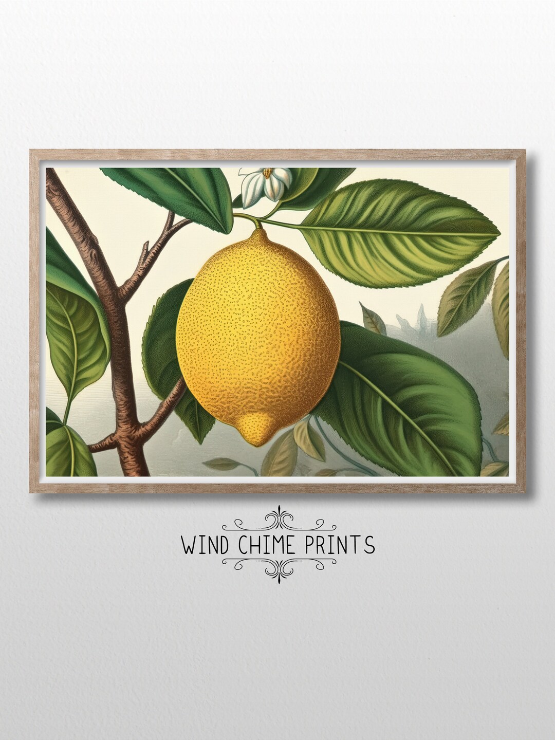 Botanical Art Print / Lemon on the Branch / Kitchen Art Decor / Bedroom ...