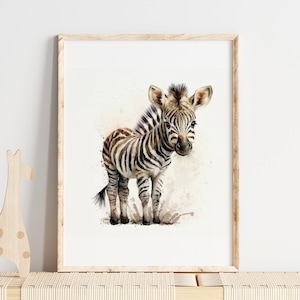 Baby zebra poster