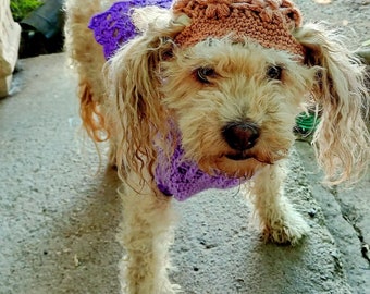 Autumn pet hat. Pet accessories. Hat for pets. Crochet dog hat.