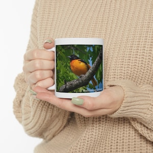 Baltimore Oriole Coffee 11 oz kubek