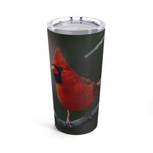 Cardinal Tumbler 20oz