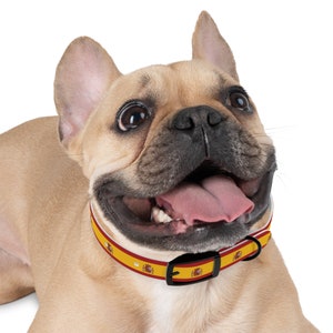 Spanish Flag dog collar