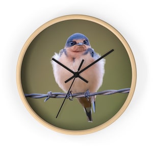Montana Barn Swallow Wall Clock