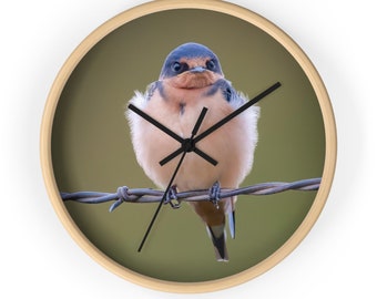 以下が含まれることがあります： とげのあるワイヤーフェンスにとまっている茶色と白のツバメ。鳥は青い頭と長い尾をしています。背景はぼやけた緑色です。