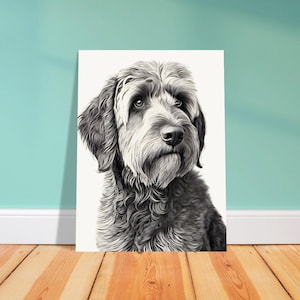Labradoodle drawing, labradoodle wall art, labradoodle poster