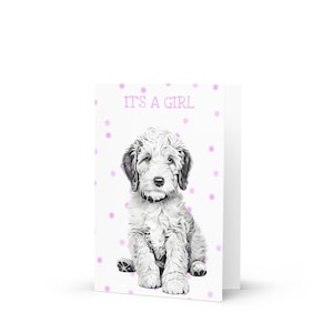 10x Labradoodle Geboortekaartjes voor een meisje (met standaard enveloppen), 7x5 inch