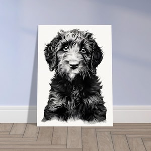Labradoodle drawing, labradoodle wall art, labradoodle poster