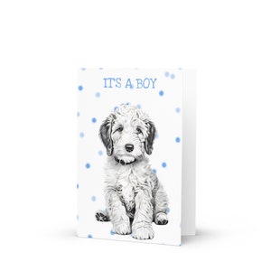 10 cartões de anúncio de nascimento Labradoodle para meninos (com envelopes padrão), 7 x 5 polegadas