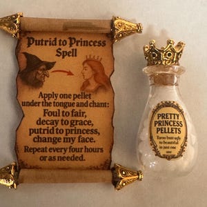 Miniature witches spell kit, Haunted mini Potion Bottles, Spell Scroll Set, Witchy 2pc set, Spooky Diorama, 1:12 Witches den fun accessories