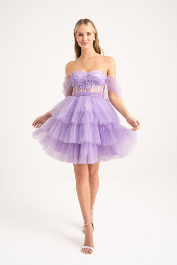 Lilac Embroidered Lace Detailed Mini Evening Dress