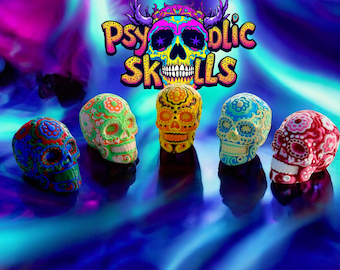 Psychedelic Holiday Inspired Skull