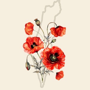 Palestine - Poppy flower - Plants of the world collection
