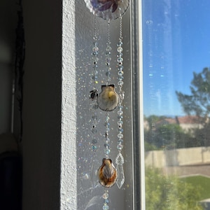 May include: A hanging suncatcher featuring three natural seashells arranged vertically, connected by silver-toned chains and clear faceted crystal beads. The top shell displays a turtle graphic, while the lower shells show natural brown patterns.