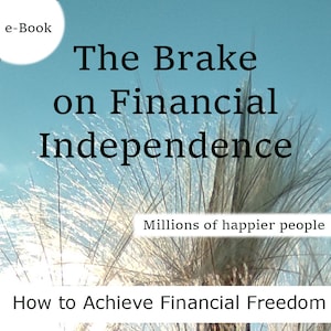 Debt-Free Journey: Escape the Financial Trap - Ebook Download - My Path to Freedom - Step by Step Guide to Achieving Financial Independence