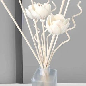 Può includere: Un diffusore a bastoncini decorativo con ornamenti bianchi a forma di fiore e bastoncini di colore chiaro. Il diffusore è in una bottiglia quadrata di vetro smerigliato. I bastoncini e i fiori sono disposti per creare un'esposizione floreale.