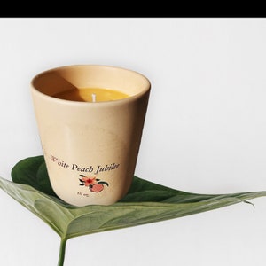May include: A beige ceramic candle jar with a yellow wax candle inside. The jar has a label that says "White Peach Jubilee" with a peach and flower illustration. The candle is sitting on a green leaf.