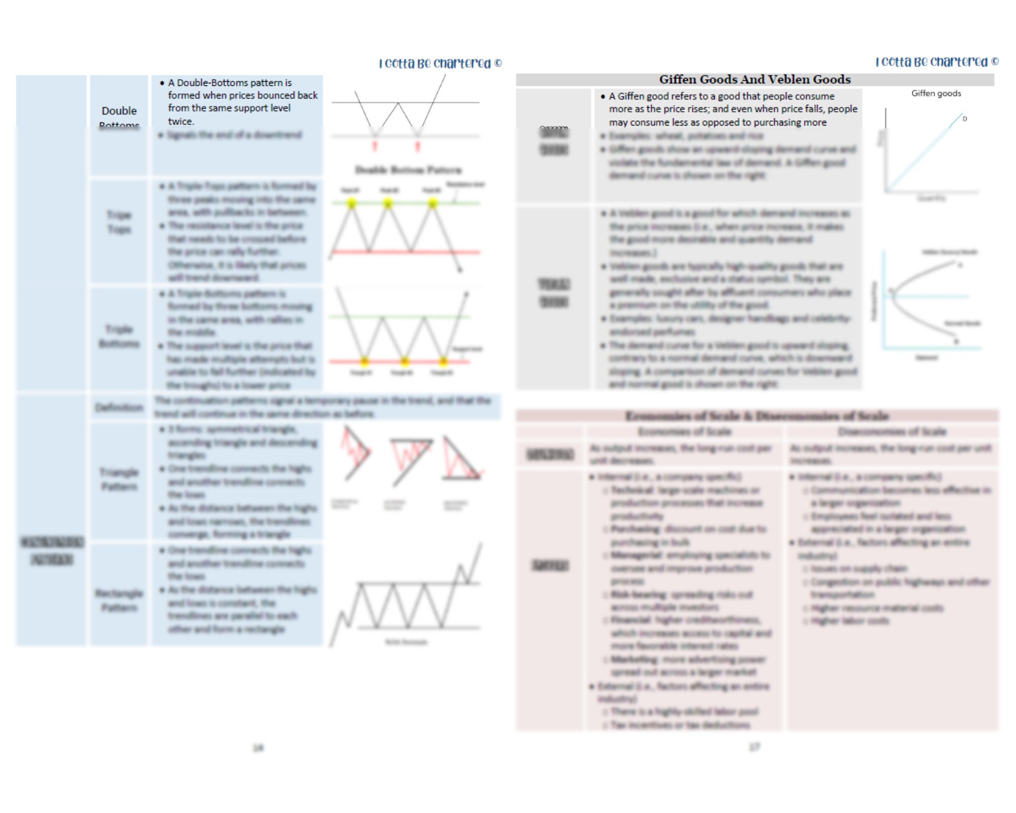 2023-cfa-program-review-notes-level-1-digital-download-55-pages-2023