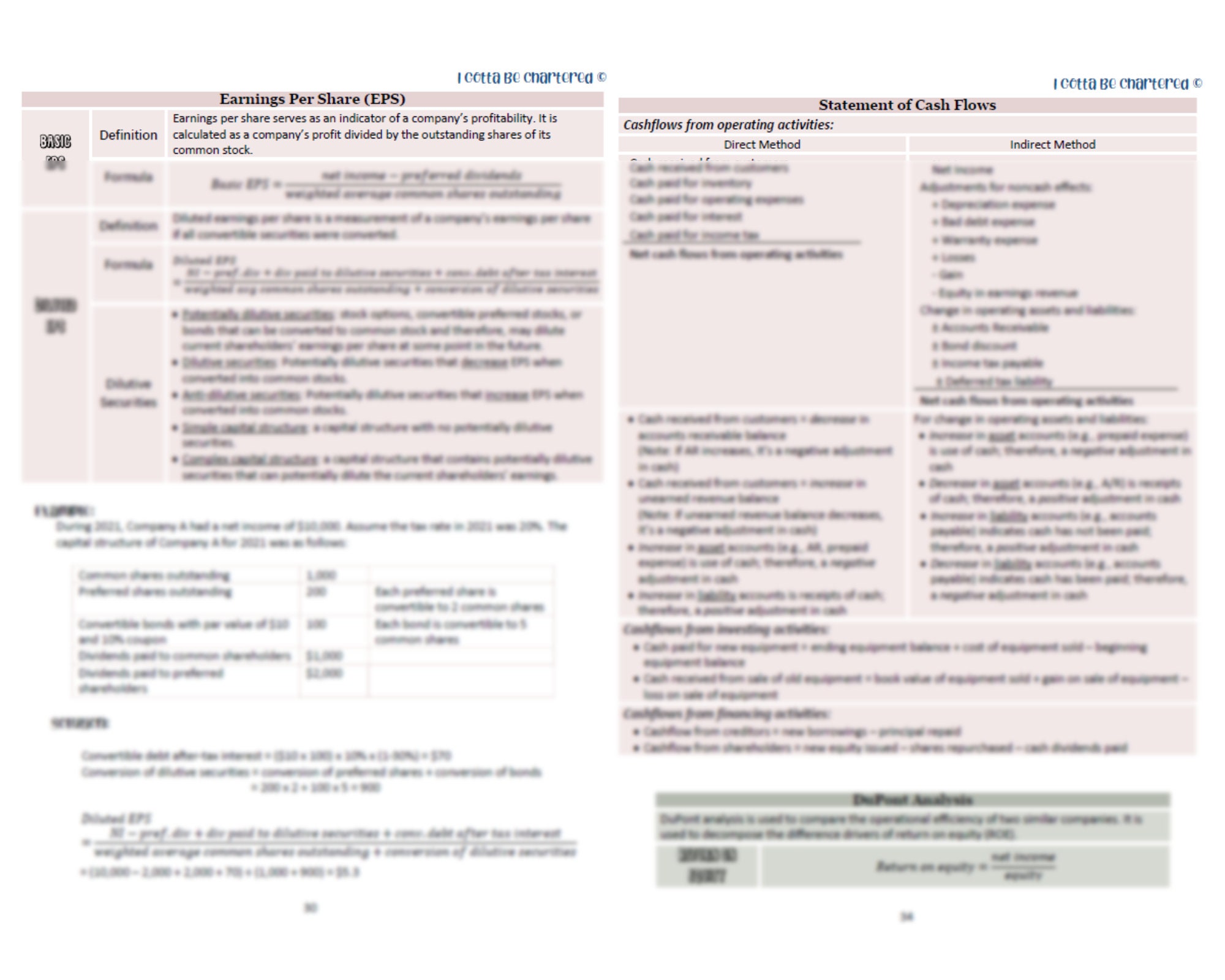 2023-cfa-program-review-notes-level-1-digital-download-55-pages-2023